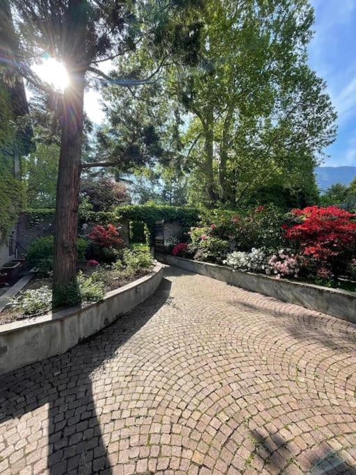 Domus Aurea Appartement Bozen Buitenkant foto